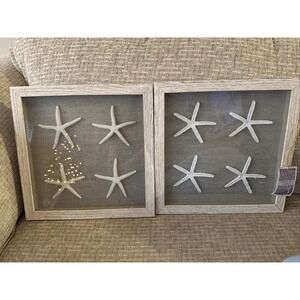 2-Framed Wall Art Nature Decor Shadow Box Case‎ Faux Sea Shell Starfish 12"x12"